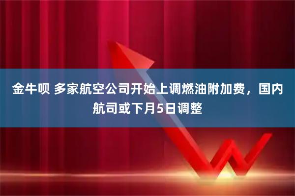 金牛呗 多家航空公司开始上调燃油附加费，国内航司或下月5日调整