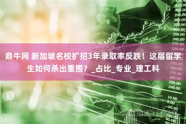 鼎牛网 新加坡名校扩招3年录取率反跌！这届留学生如何杀出重围？_占比_专业_理工科