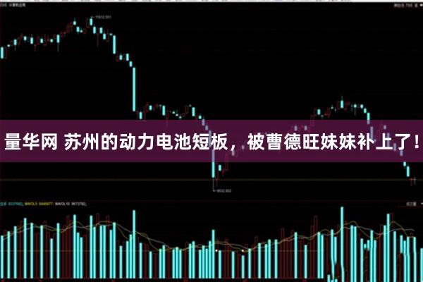量华网 苏州的动力电池短板，被曹德旺妹妹补上了！