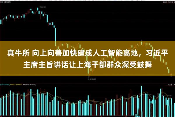 真牛所 向上向善加快建成人工智能高地，习近平主席主旨讲话让上海干部群众深受鼓舞